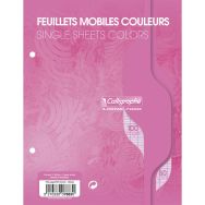 Feuillets mobiles couleur sous film 7000 17x22cm Seyès - Calligraphe