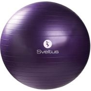 Gymball parme Ø75 cm vrac Sveltus