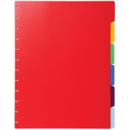 Intercalaires polypropylènes couleurs pour porte-vues à anneaux