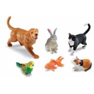 Les animaux de compagnie grande taille