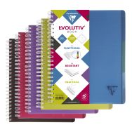 Linicolor Evolutiv'Book 22,5x29,7cm 240p Q.5x5 cadré perfo. 4 trous - Lot de 5