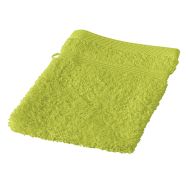 Lot 12 gants toilette 15 x 20 cm AXEL - Granjard