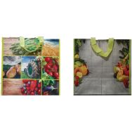 Lot de 100 Sac tissé 150 G - Décor primeur - 400/200X350mm