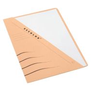 Lot de 10 Chemise-pochette Jalema Secolor - Beige