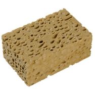 Lot de 5 Éponge cellulosique humide Azella 75 - Spontex
