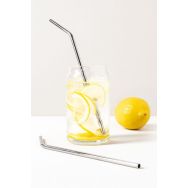 Paille coudée en acier - Lot de 12- In Situ