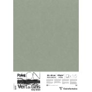 Paint'On Vert de Gris pqt 15 feuilles 50x65 250g