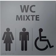 Panneau relief et braille WC MIXTE + picto handicapé gris