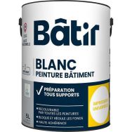 Peinture acrylique adhérente multisupport 5 L blanc