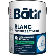 Peinture murs et plafonds 98% opacité mat 5 L blanc