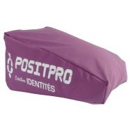 Plot d'abduction PositPro - Identités