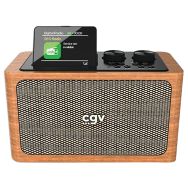 Radio portable BEBOPDAB+ - Puissance 20 Watts - Cgv