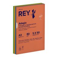 Ramette 250 feuilles A3 80g 5 teintes vives assorties
