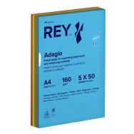 Ramette 250 feuilles A4 160g 5 teintes vives assorties
