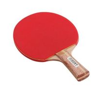 Raquette ping-pong initiation