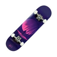 Skateboard adulte 213SKB03
