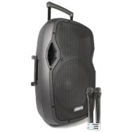 Sonorisation 800W AP1500PA 15"- 2 Micro HF Main