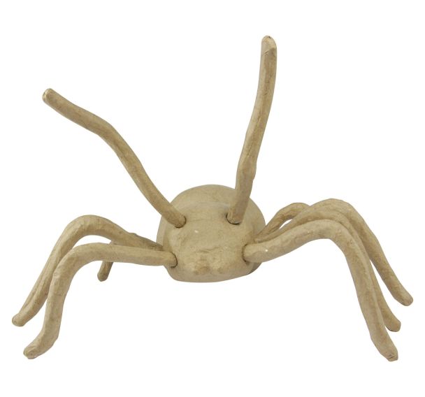 Araignée 100cm