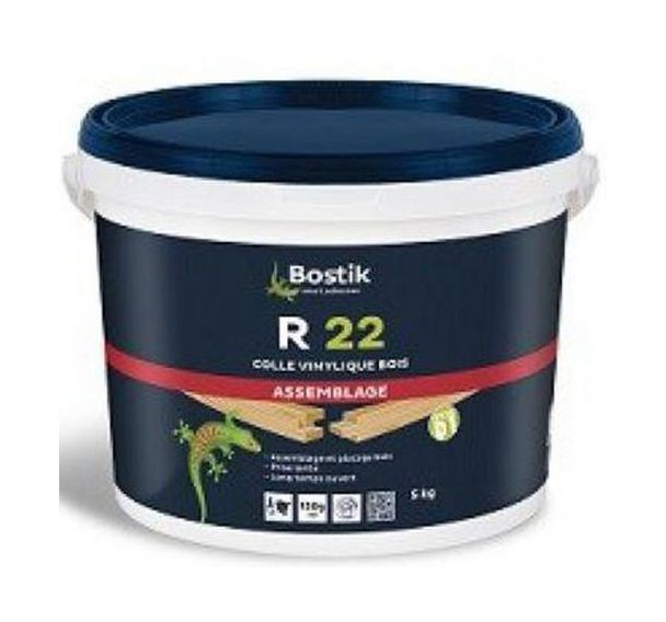 B.R22 Bb250G/C12