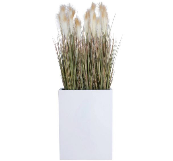 Plante artificielle Pampa - Tanaman