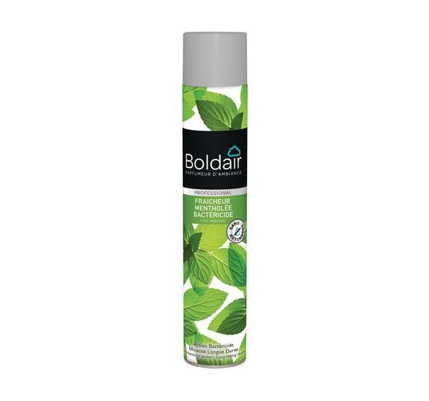 Boldair fraicheur mentholée bactéricide - aérosol 500ml