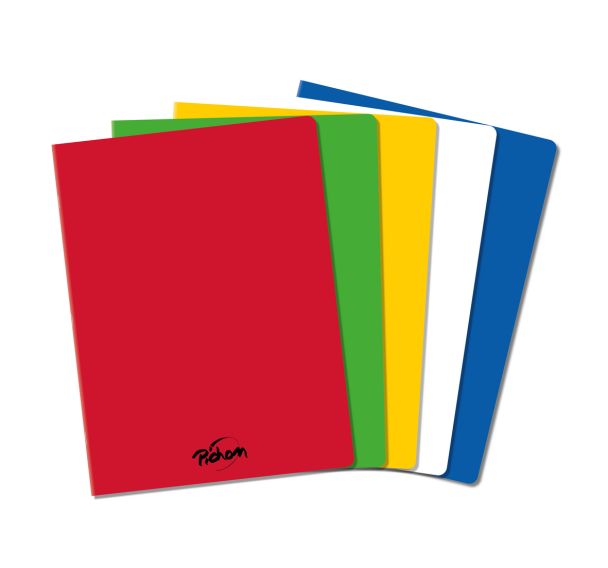 Cahier polypropylène 48 pages Seyes 24x32 cm 80g - Pichon
