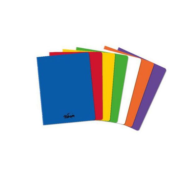 Cahier polypropylène 96 pages Seyes 24x32 cm 80g - Pichon