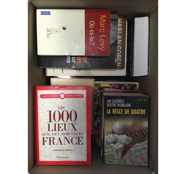 Carton de livres pour boite à livres Cube