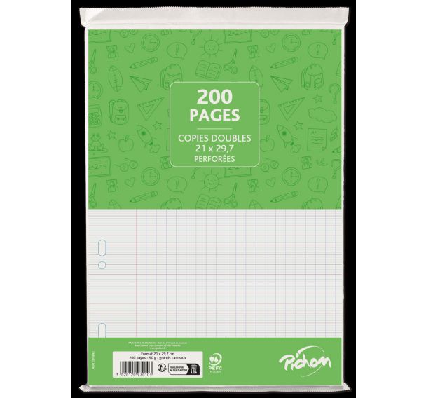 Copies doubles 200 pages 90g A4 perforées seyes (Etui de 50)
