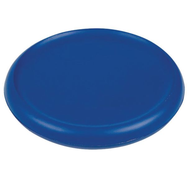 Disque d'exercice et coussin