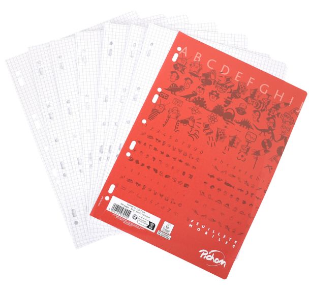 Feuillet recharge classeurs A4 5x5 100 pages blanc 90g NF 92 (Etui de 50)