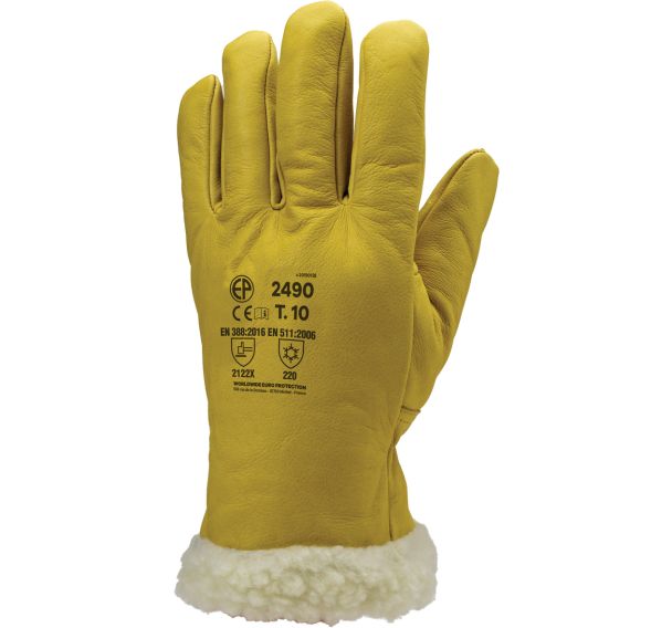 Gants Eurowinter Islande - Coverguard