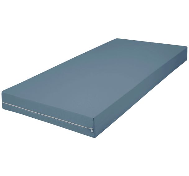 Housse rechange anti punaises lit p/matelas ép.15 cm - Carpenter