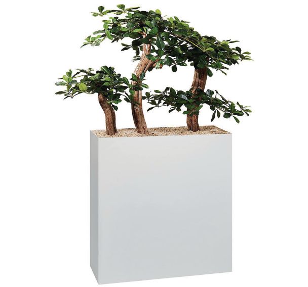 Jardinière métal sur roulettes hauteur 90 cm Bonzaï - Genexco