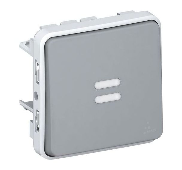 LEGRAND - Interrupteur témoin câblage gris 10 AX