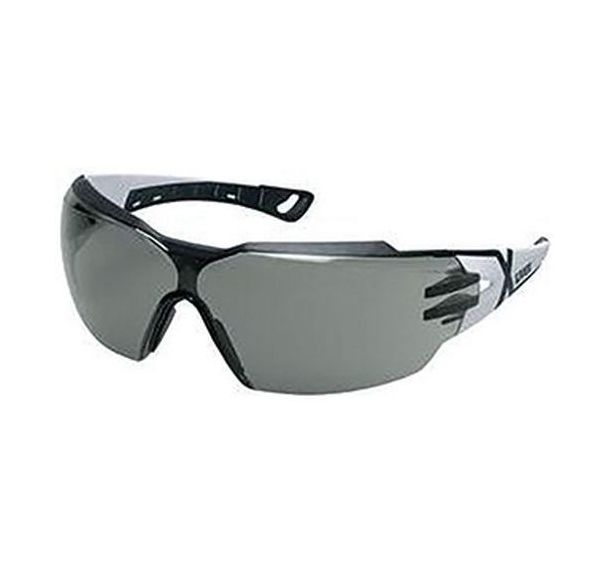 Lot de 10 Lunettes de protection écran gris 23% Pheos Cx2