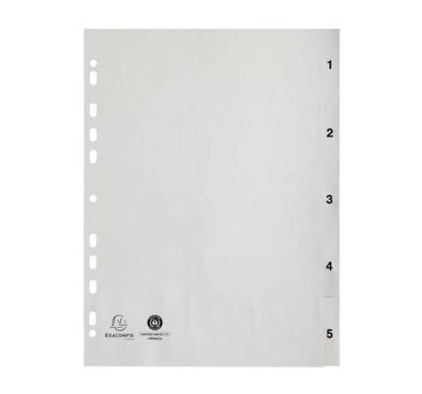 Lot de 20 Intercalaires imprimés numériques pp gris 5 positions - a4