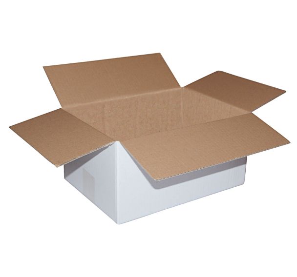 Lot de 25 boîtes carton Blanc H Ext.:162 Ext.:221