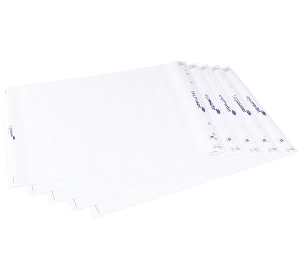 Lot de 5 Bloc-papier ordinaire pour flipchart