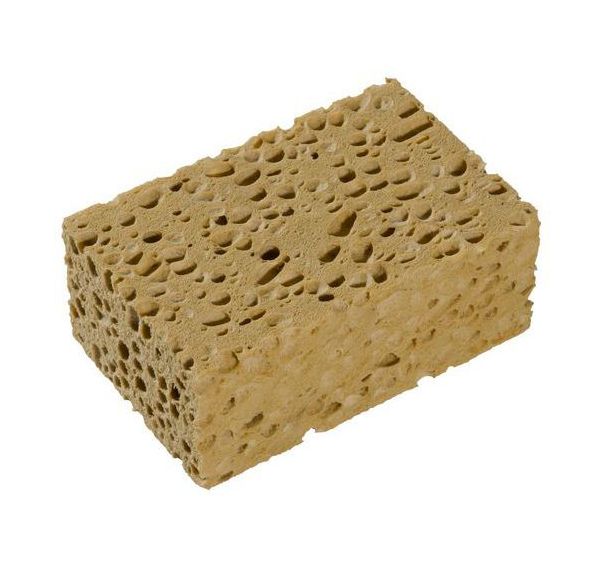 Lot de 5 Éponge cellulosique humide Azella 75 - Spontex