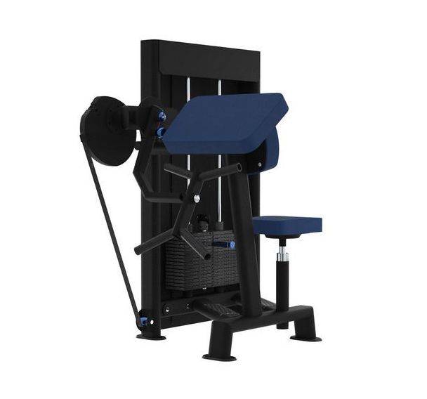 Machine muscu Curl biceps Evolution Laroq