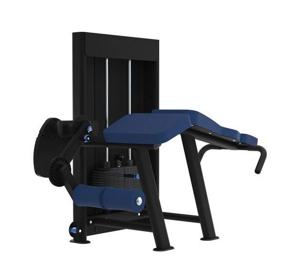 Machine muscu Leg Curl ischios couché Evolution Laroq
