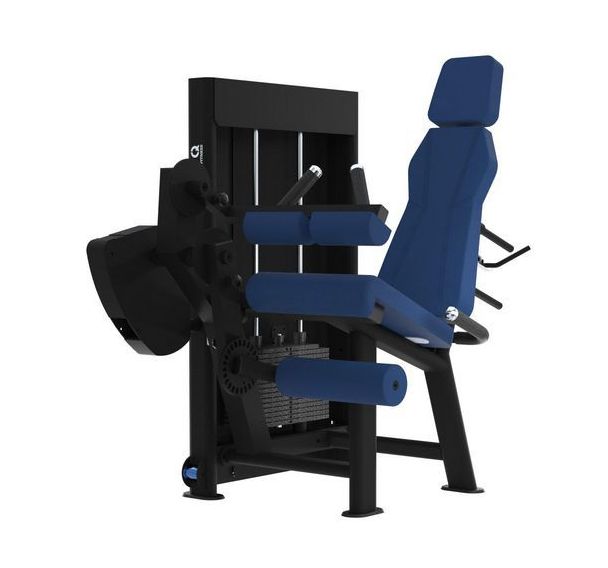 Machine muscu Legs curl extension assis Evolution Laroq
