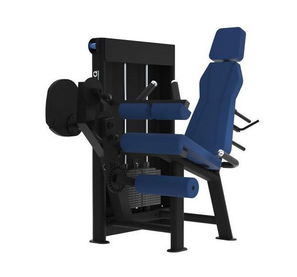Machine muscu Legs curl ischios assis Evolution Laroq