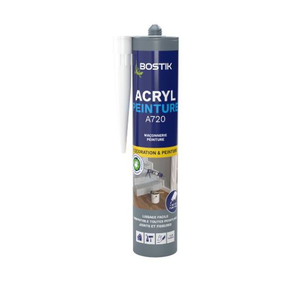 Mastic acrylique spécial peinture Ct310ML/C12