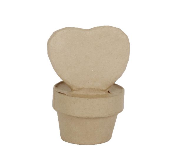 Mini plante cœur (Lot de 10)
