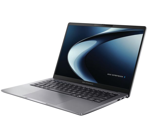 PC portable 14'' 512Go ExpertBook P3 P3405CVA-LY0040X - Asus