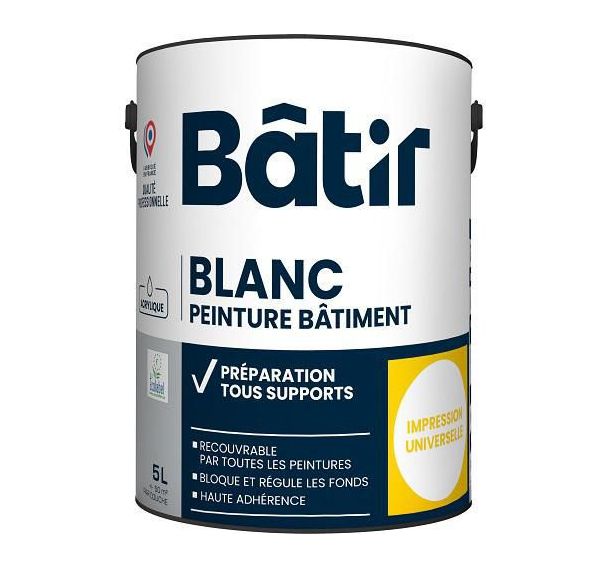 Peinture acrylique adhérente multisupport 5 L blanc