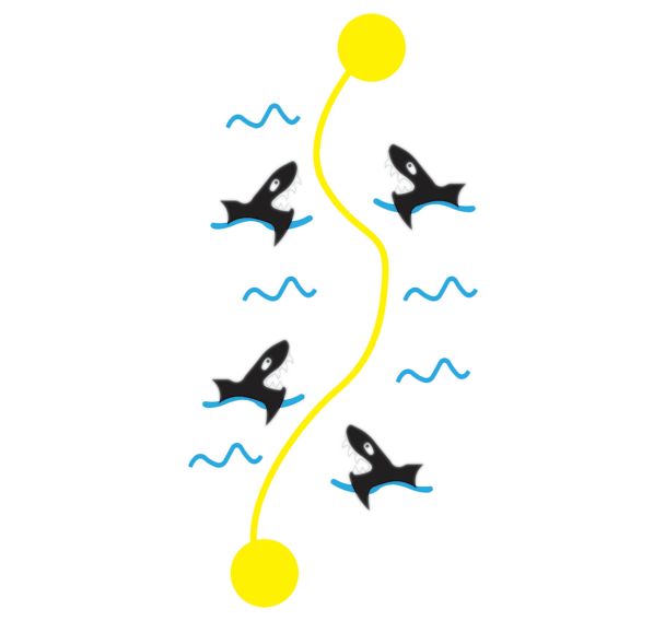 Piste aux Requins en résine thermocollée