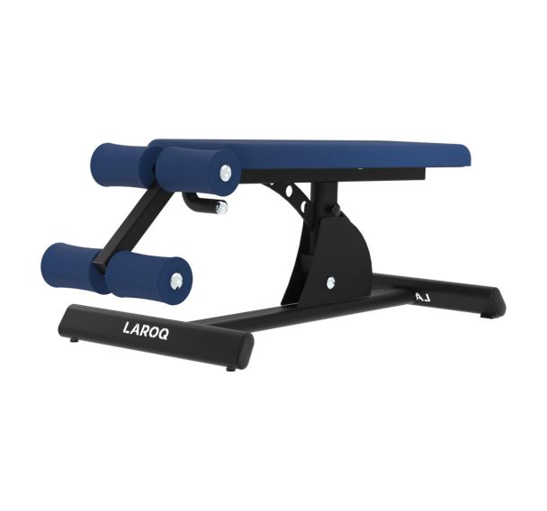 Planche abdominale anatomique Evolution Laroq